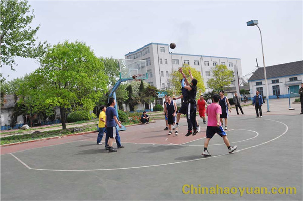 291400218619 sunbet官网-不凡成就非凡,相信品牌的力量