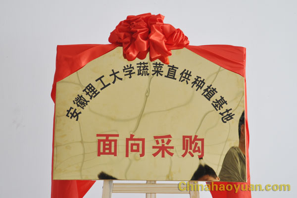 sunbet官网-不凡成就非凡,相信品牌的力量